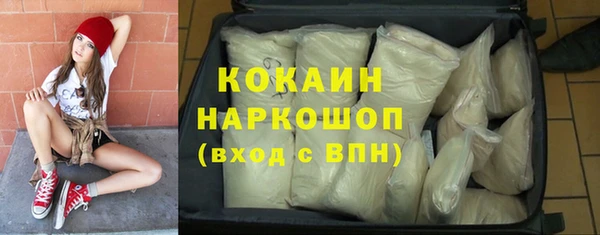 хмурый Новозыбков