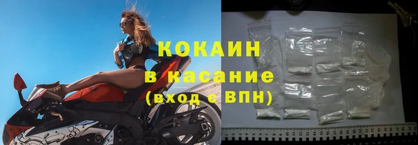 хмурый Новозыбков
