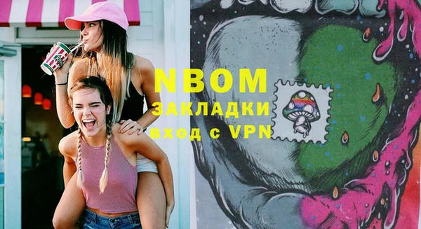 хмурый Новозыбков
