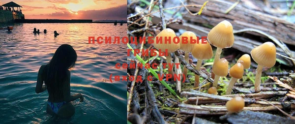 хмурый Новозыбков