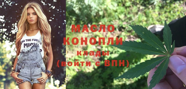 хмурый Новозыбков