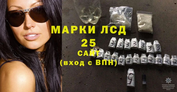 PSILOCYBIN Новокубанск