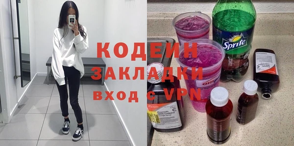 хмурый Новозыбков