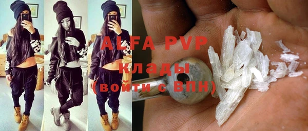 хмурый Новозыбков