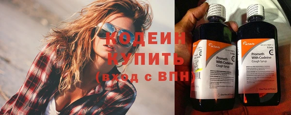 хмурый Новозыбков
