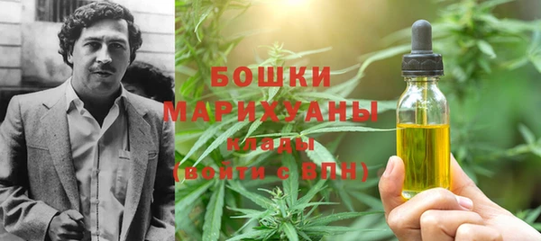 PSILOCYBIN Новокубанск