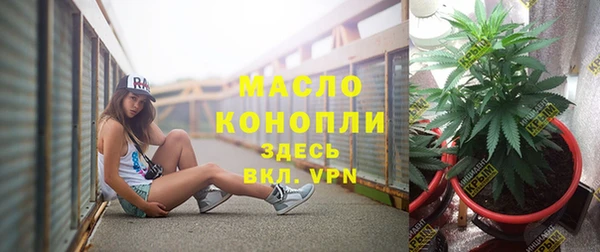 хмурый Новозыбков