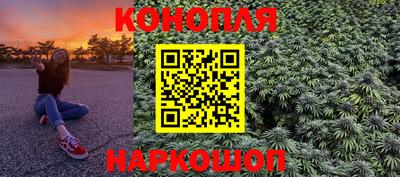 шишки Камышлов