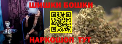 шишки Камышлов
