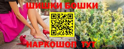 шишки Камышлов