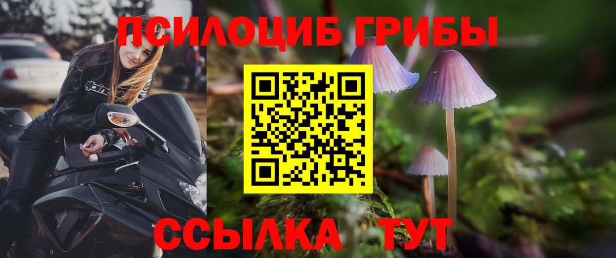 Галлюциногенные грибы ЛСД Славгород