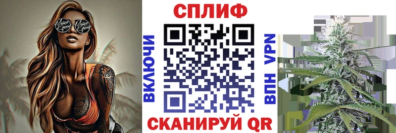 Конопля сатива  даркнет какой сайт  Славгород 